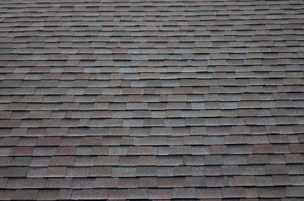Architectural Roof Shingles Pictures