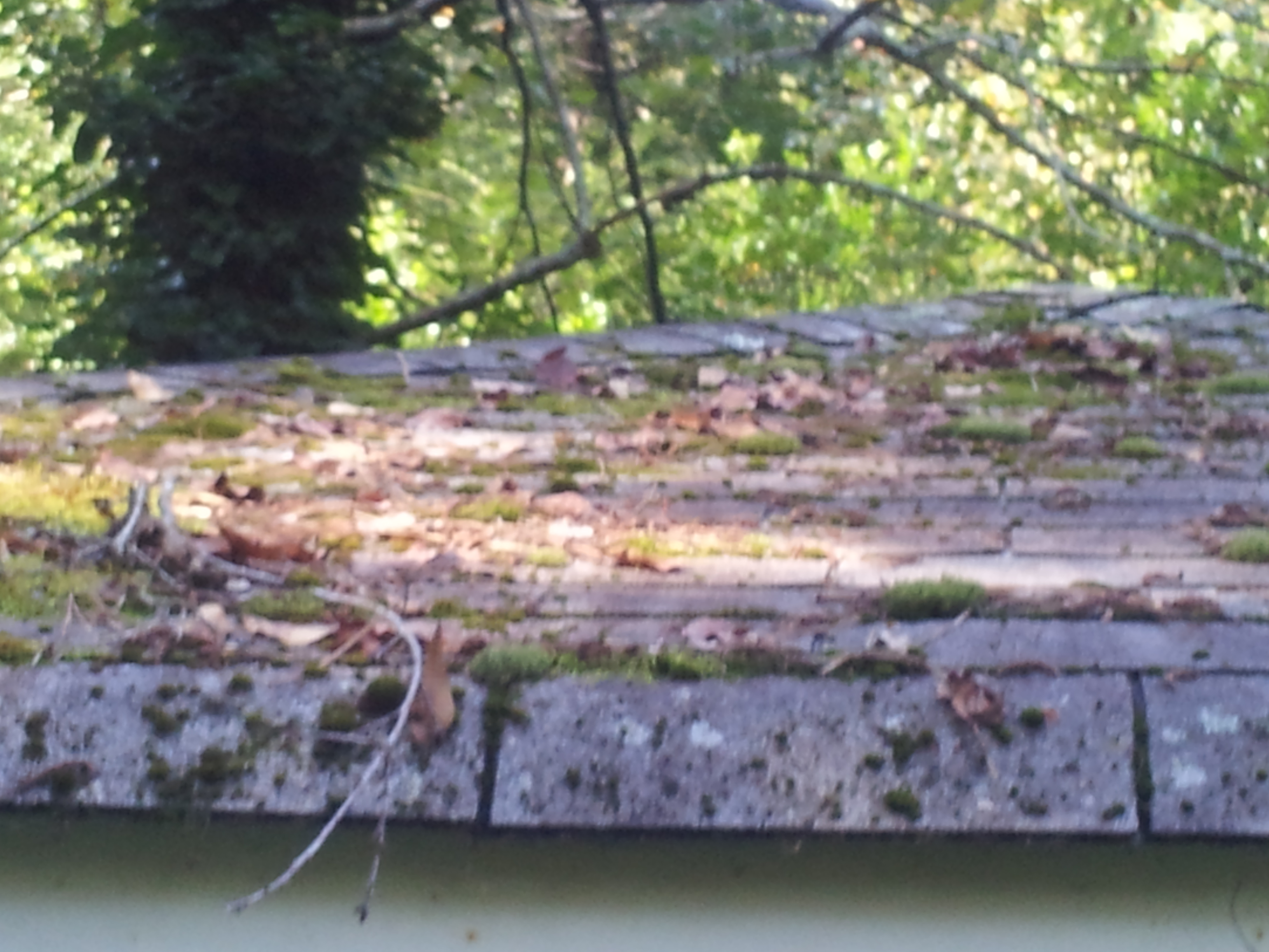 debris on roofs